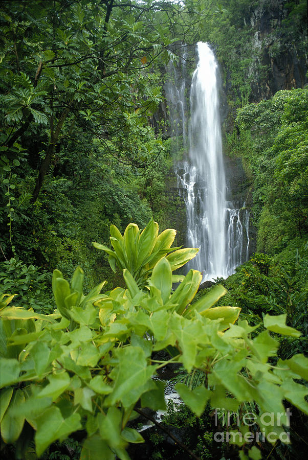 Wailua Falls #2 Photograph by Ron Dahlquist - Printscapes