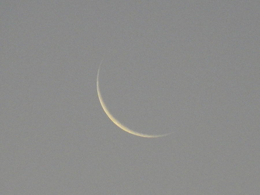 Waning Crescent Moon #2 Photograph by Virginia White