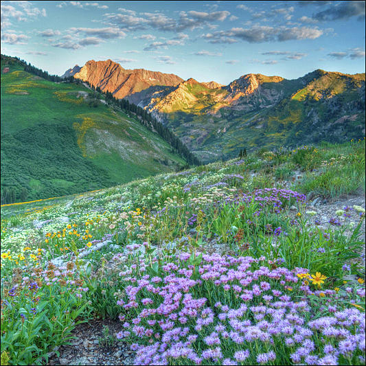 Wasatch Mouintains Utah #2 Photograph by Douglas Pulsipher