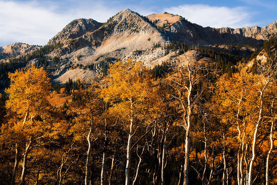 Wasatch Mountains in Autumn #2 Photograph by Douglas Pulsipher