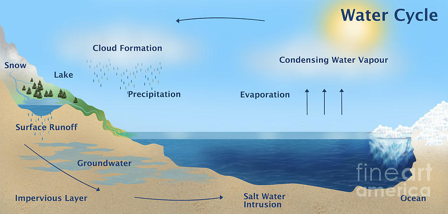 The artist view of the global water cycle and the WCOM This is the