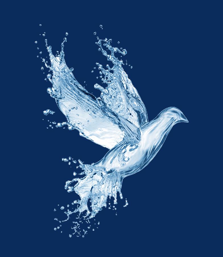 Water Dove T-shirt Painting by Herb Strobino