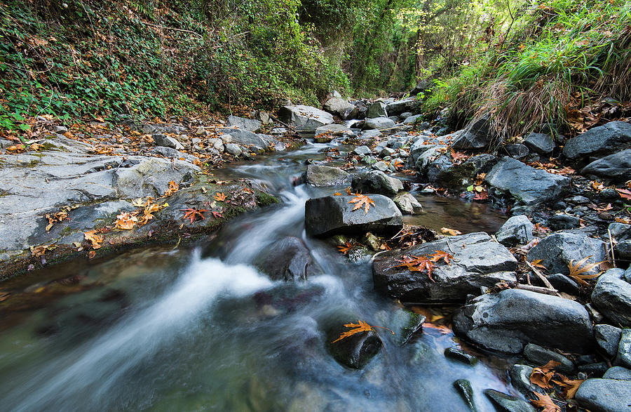 Water stream flowing in the river in autumn #2 Photograph by Michalakis Ppalis