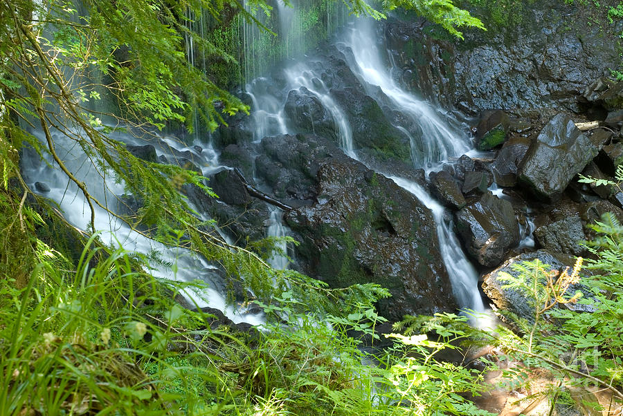 Waterfall, Cantal, France Photograph by Claude Loozen - Fine Art America