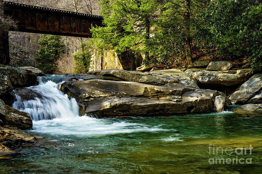Waterfall Laurel Creek #2 Photograph by Thomas R Fletcher