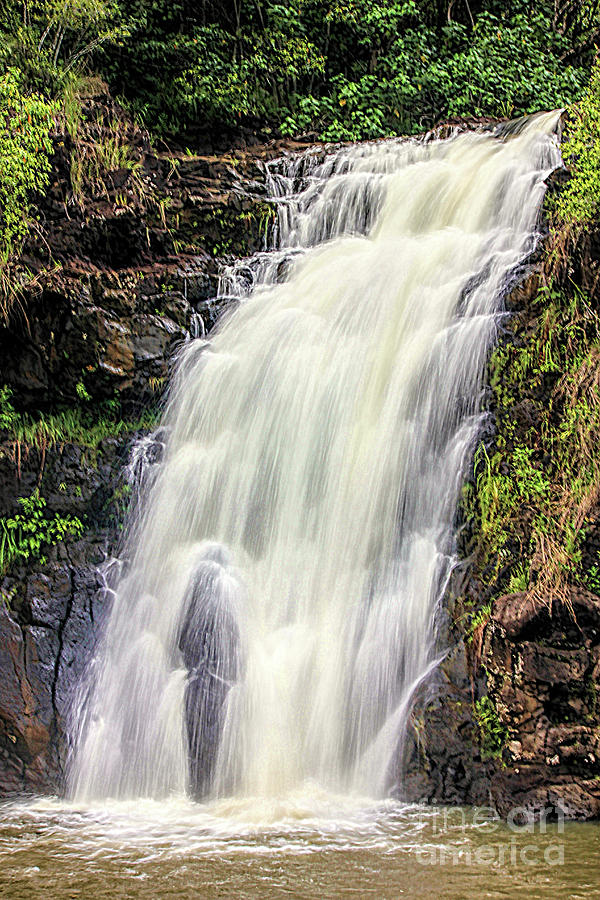 Waterfall #4 Photograph by Mark Jackson