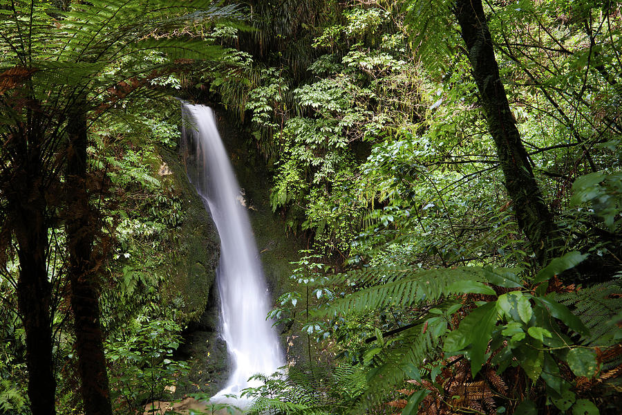 Waterfall, New Zealand #2 Photograph by Les Cunliffe