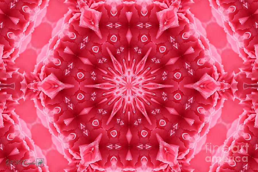 Watermelon Carnation Ruffles Mandala #1 Digital Art by J McCombie