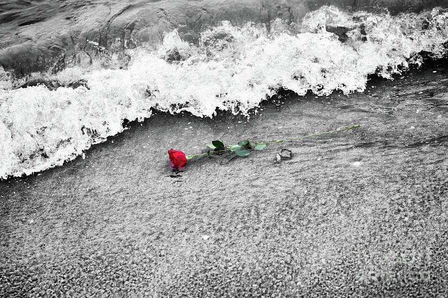 Waves washing away a red rose from the beach. Color against black and white. Love #2 Photograph by Michal Bednarek