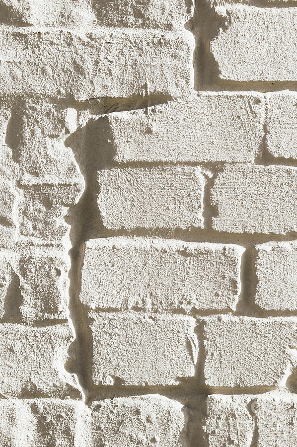 Weathered brick wall #2 Photograph by Tom Gowanlock