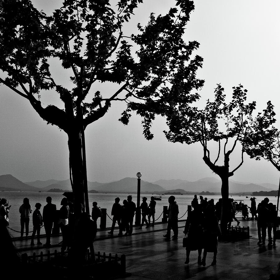 Tree Photograph - West Lake, Hangzhou #2 by George Taylor