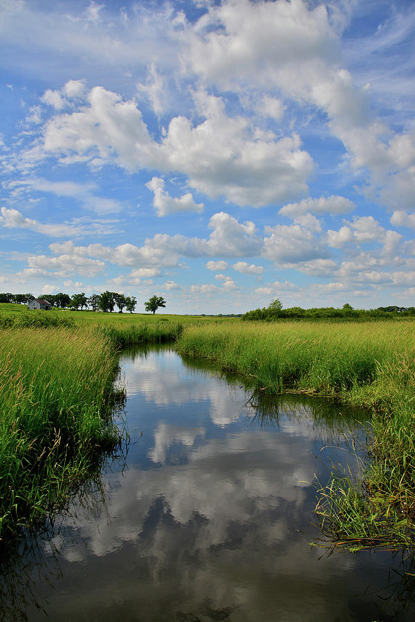 Wetland Reflection in Glacial Park #2 Photograph by Ray Mathis