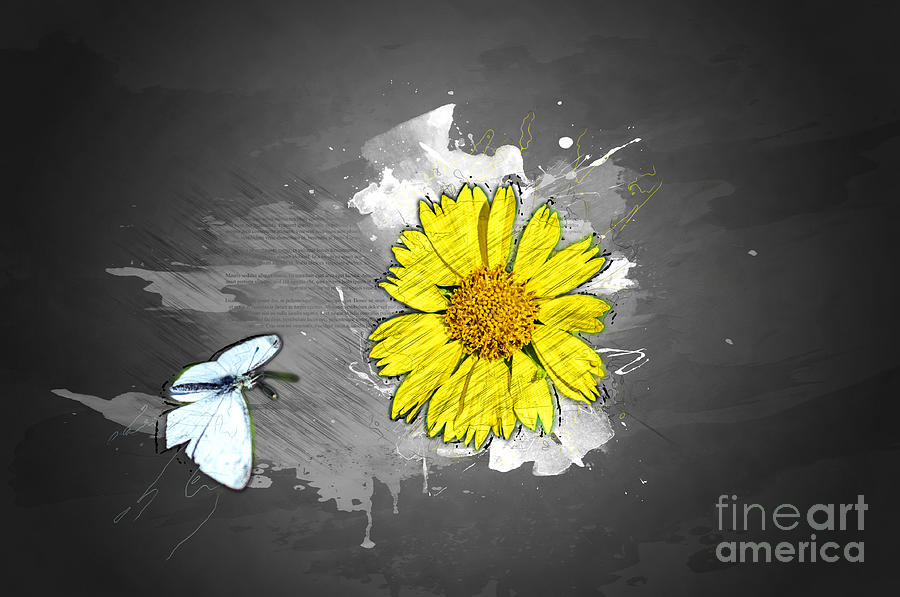 White Butterfly And Yellow Flower #2 Photograph by Humorous Quotes