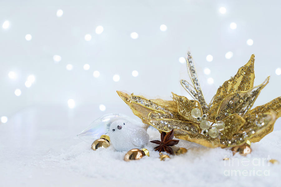White Christmas  Photograph by Anastasy Yarmolovich
