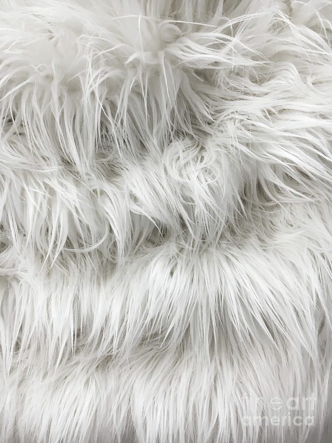 White fur background #2 Photograph by Tom Gowanlock