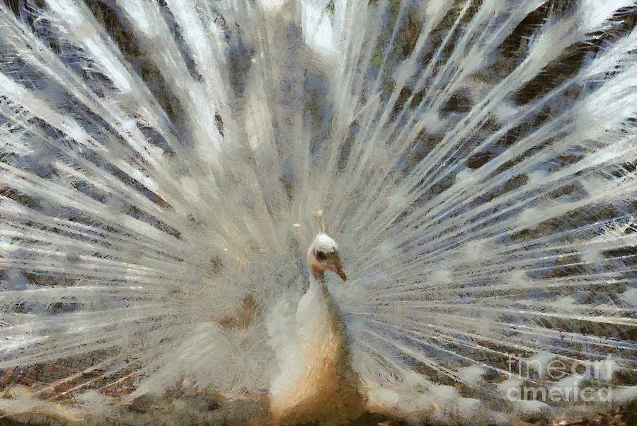 Peacock Painting - White peacock with open tail #3 by George Atsametakis