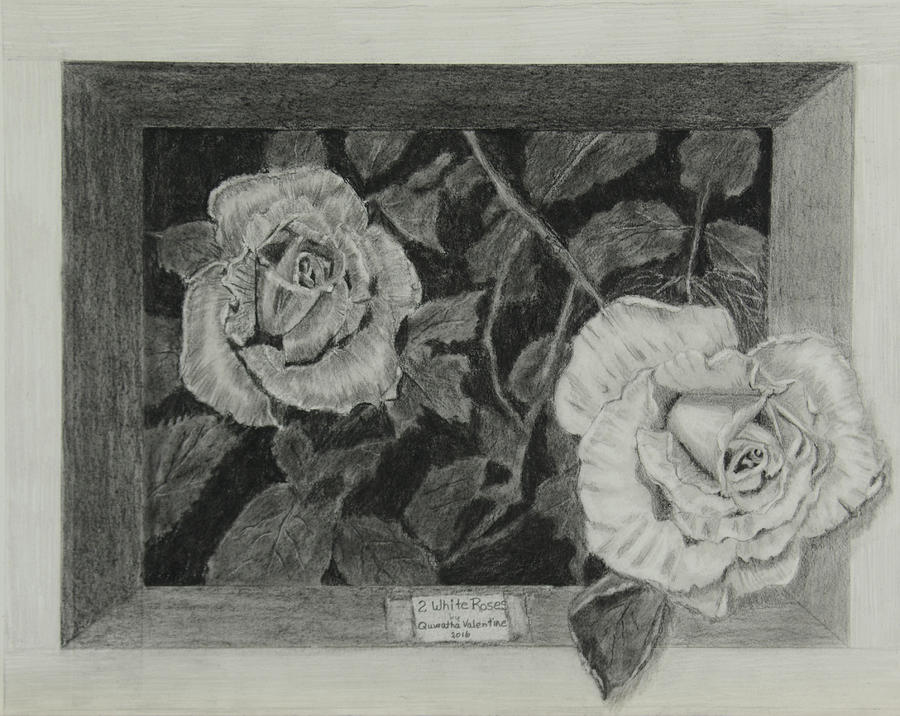 2 White Roses Drawing by Quwatha Valentine