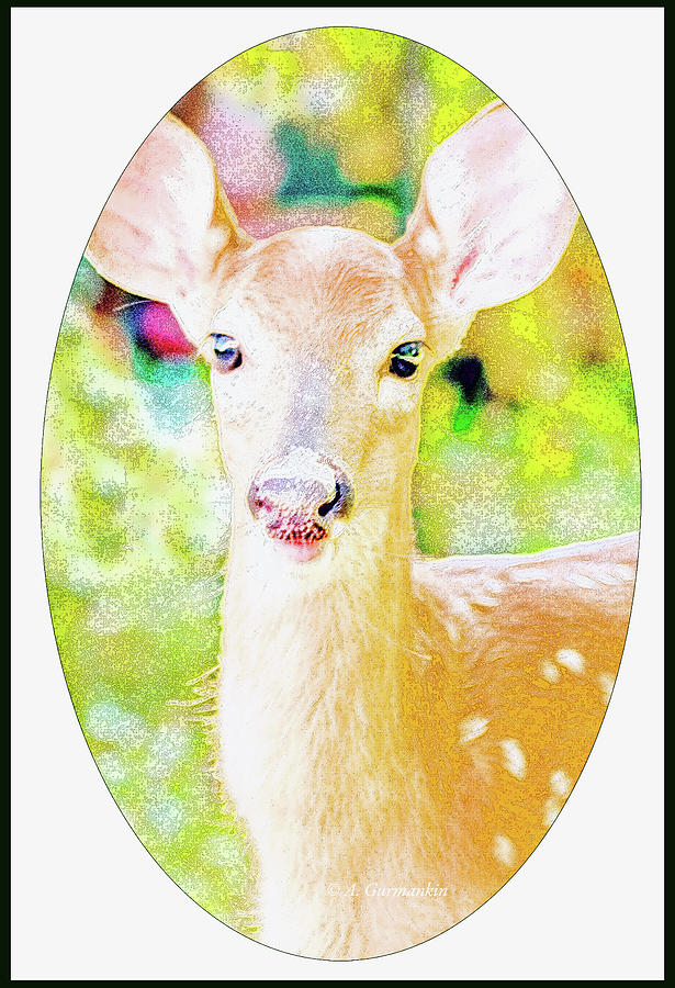 White-tailed Virginia Deer Fawn #2 Digital Art by A Macarthur Gurmankin