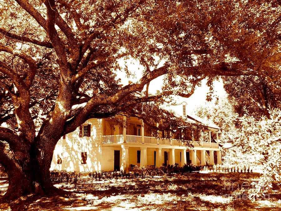 Whitney Plantation Front View in Wallace Louisiana Photograph by Michael Hoard