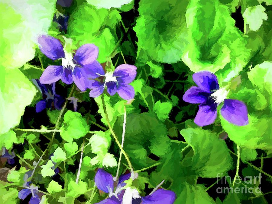 Wild Violets Mixed Media By Debra Lynch