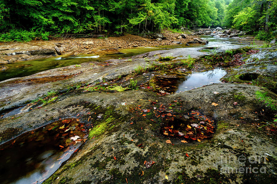 Williams River in the Rain #2 Photograph by Thomas R Fletcher
