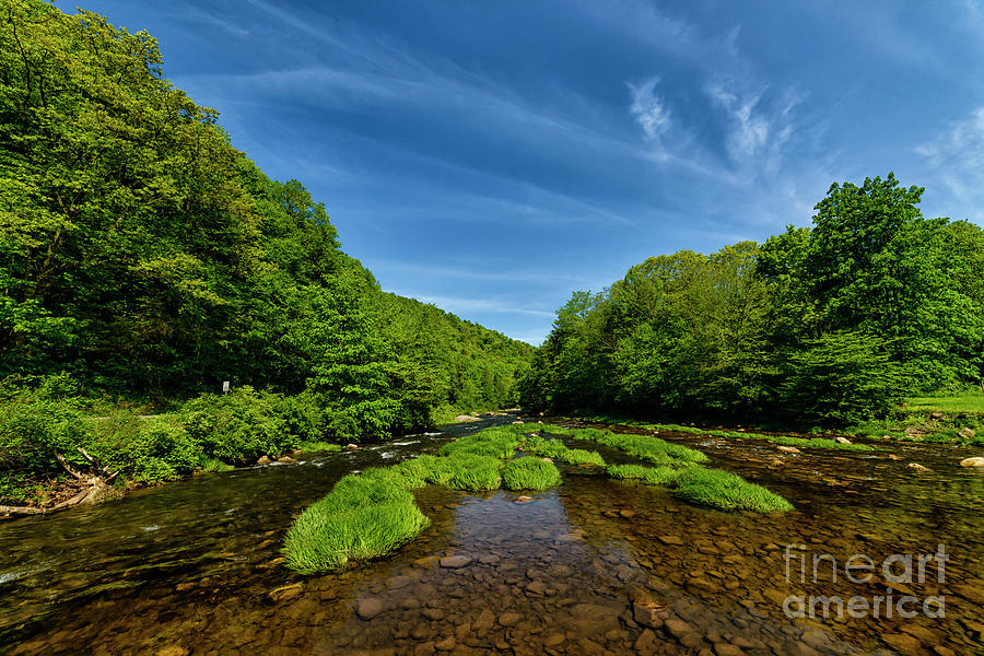 Williams River Spring Green #2 Photograph by Thomas R Fletcher