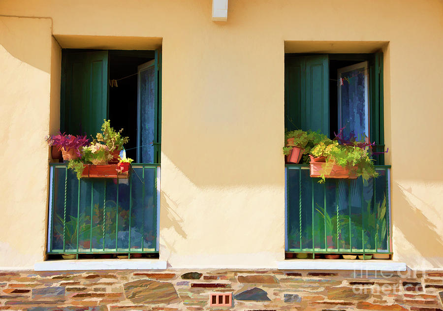 2 Windows Flowers Collioure France  Photograph by Chuck Kuhn