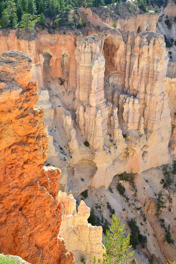 Windows of Bryce Point #1 Photograph by Ray Mathis