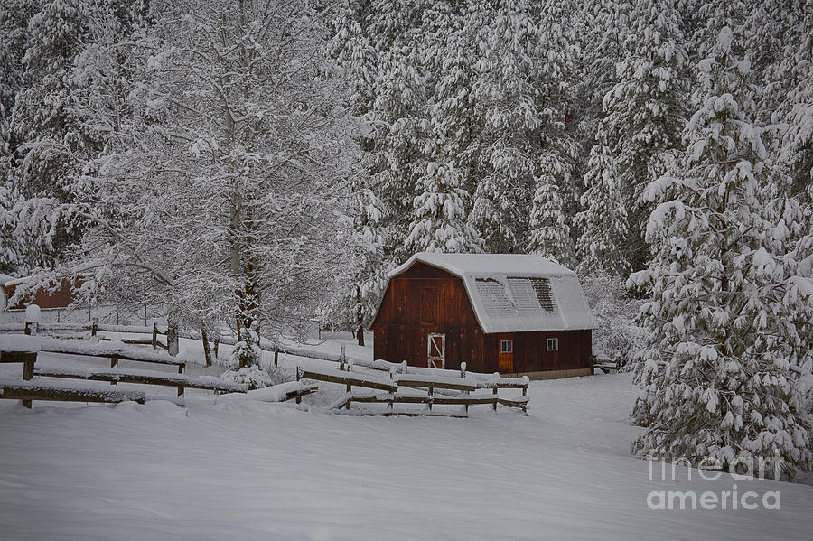 Winter Barn #2 Photograph by Idaho Scenic Images Linda Lantzy