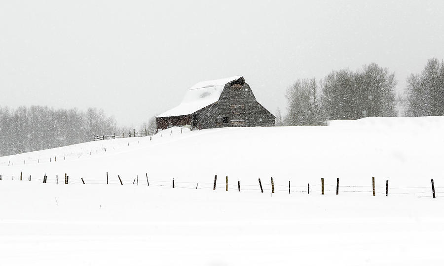 Winter Barn Photograph by Ronnie And Frances Howard