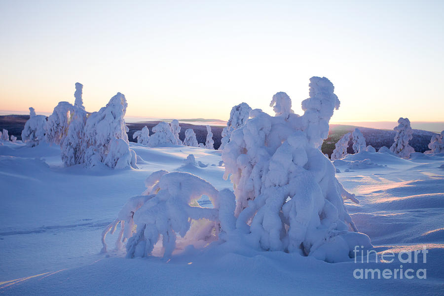 Winter Photograph - Winter in Lapland Finland #2 by Kati Finell