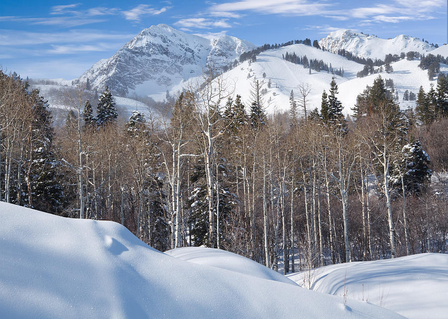 Winter in the Wasatch Mountains of Northern Utah #2 Photograph by Douglas Pulsipher