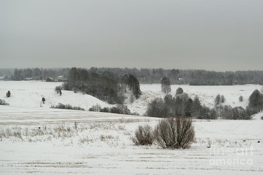 Winter Photograph - Winter Landscape #2 by Esko Lindell