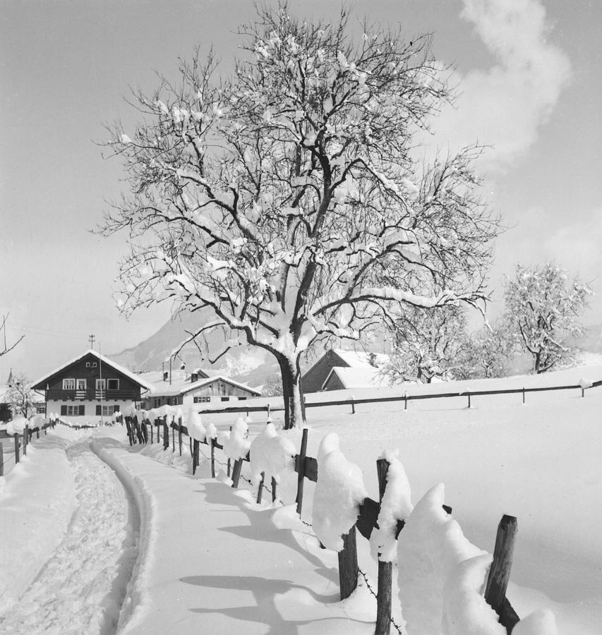 Winter Landscape Photograph by German School