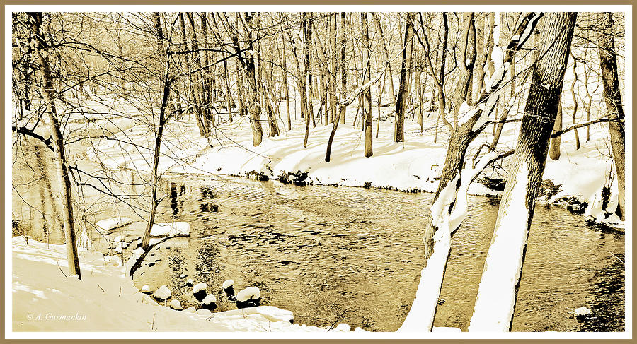 Winter on a Pennsylvania Stream #2 Photograph by A Macarthur Gurmankin