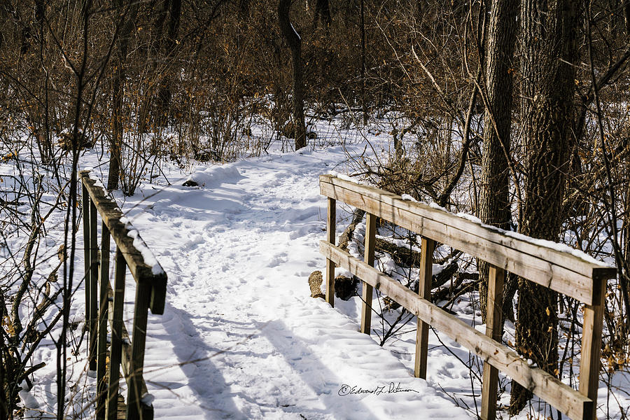 Winter Path #2 Photograph by Ed Peterson