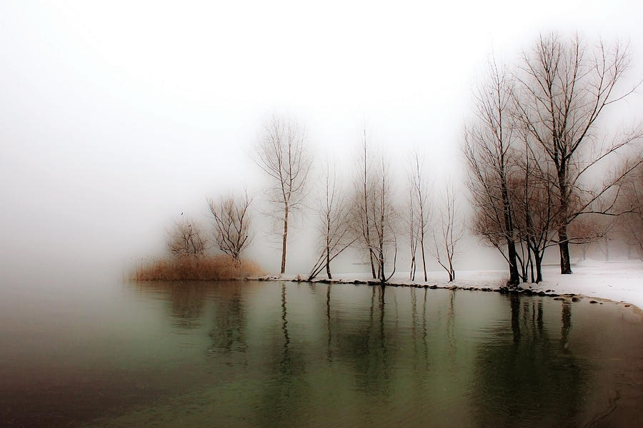 Winter Trees #2 Photograph by Joana Kruse