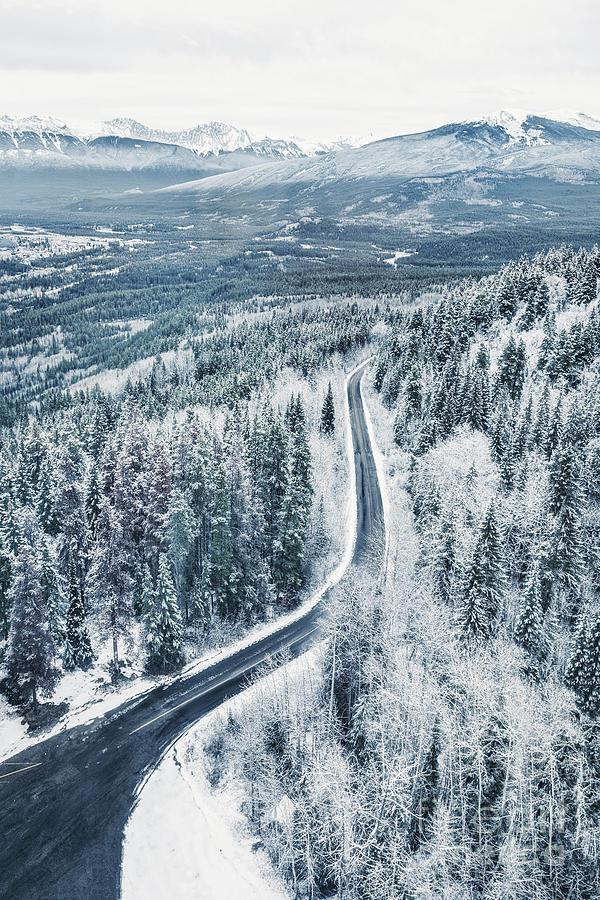 Winter Photograph - Winters Way #2 by Evelina Kremsdorf