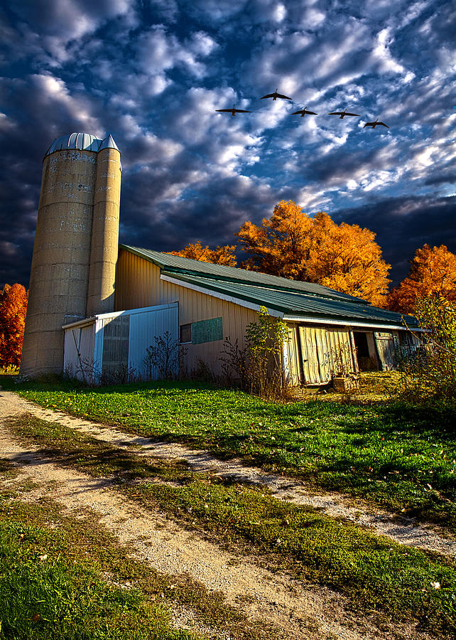 Landscape Photograph - Wisconsin Life #2 by Phil Koch