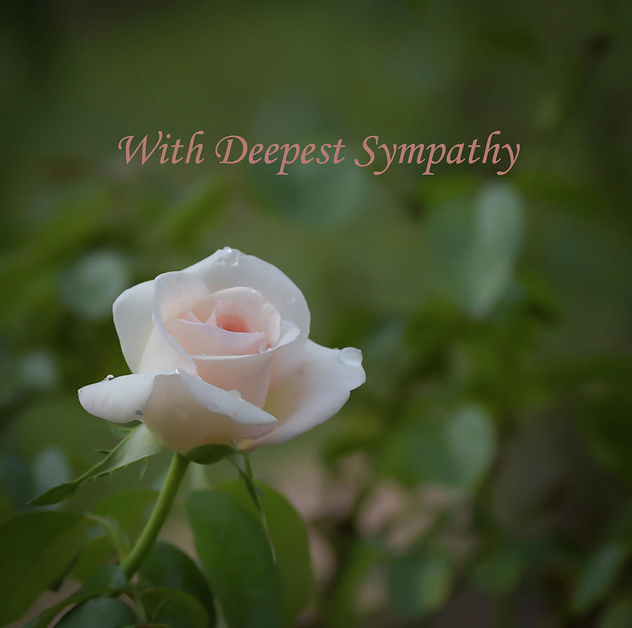 With Deepest Sympathy Photograph by Dot Rambin | Pixels