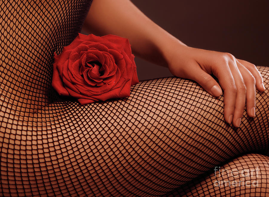Woman in Fishnet Bodystocking with a Rose #2 Photograph by Maxim Images Exquisite Prints