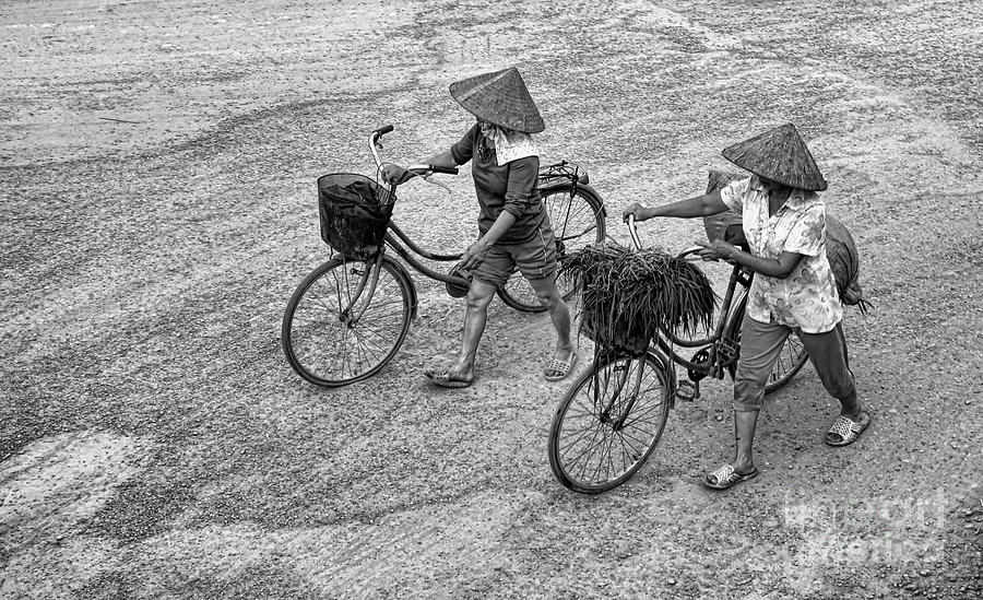 2 woman Vietnamese Bicycle BW Photograph by Chuck Kuhn