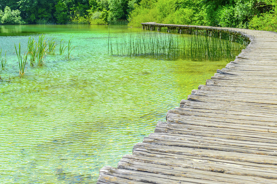 Wooden Boardwalk  for Hiking next to a Lake #2 Photograph by Brandon Bourdages