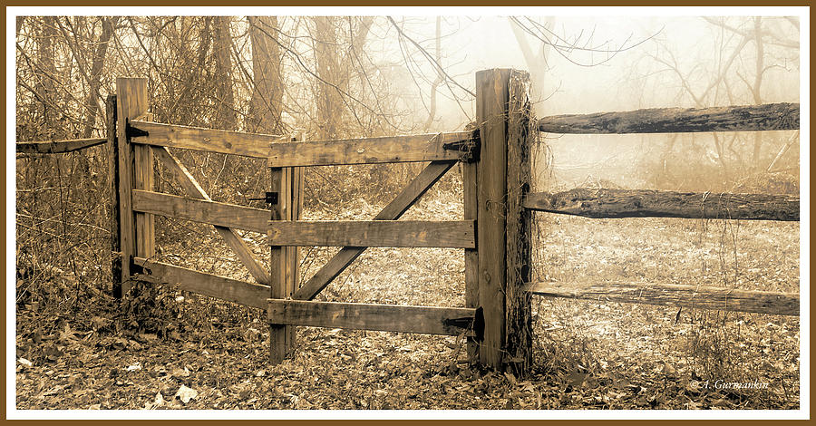 Wooden Fence on a Foggy Morning #2 Photograph by A Macarthur Gurmankin