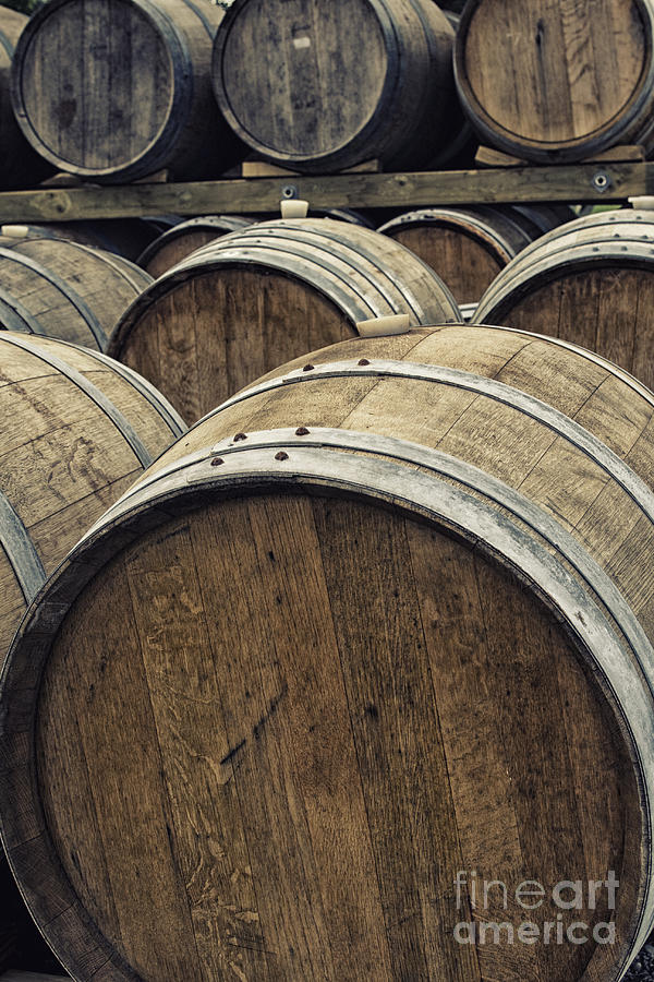 Oak wine barrels Photograph by Patricia Hofmeester
