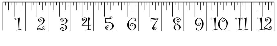 2 x 12 foot ruler note print size may vary photograph by larry jost pixels