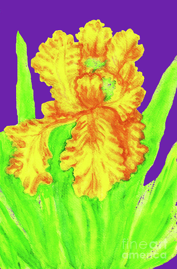 Yellow iris, painting #2 Painting by Irina Afonskaya
