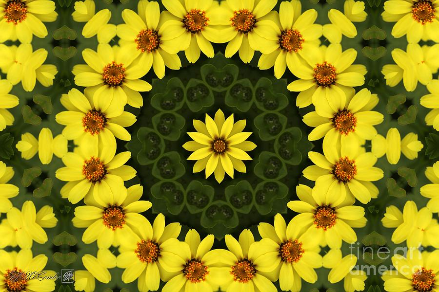 Yellow Zahara Mandala #1 Digital Art by J McCombie