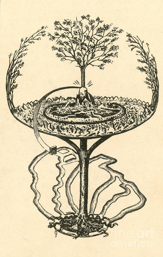 Yggdrasil From Norse Mythology #2 Photograph by Photo Researchers