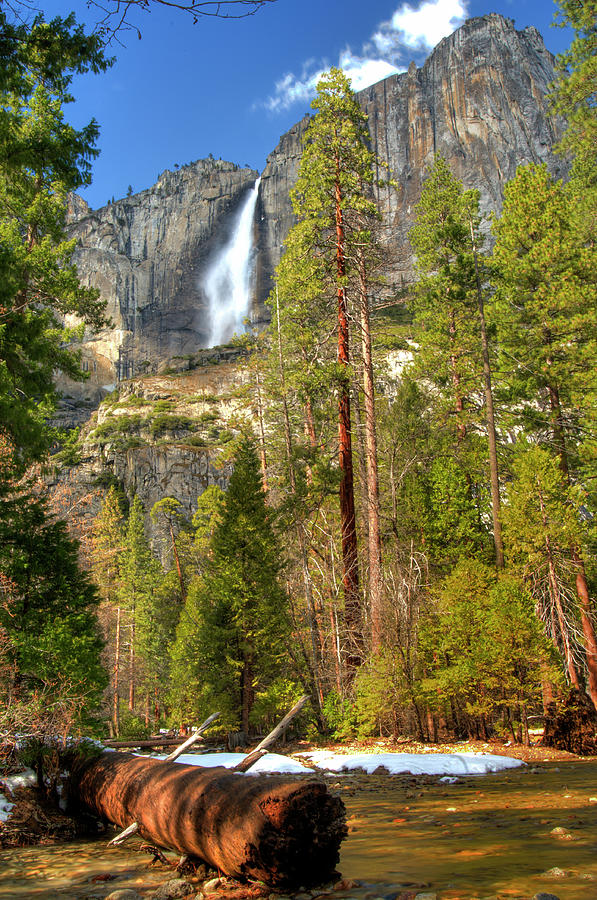 Yosemite Falls Photograph by Marc Bittan